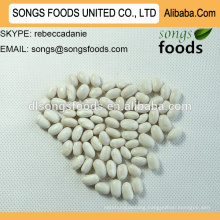 canned white kidney beans buyer at alibaba